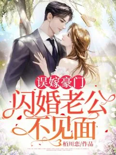 《自家总裁有点眼熟》小说封面