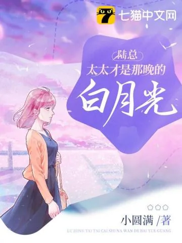 《陆总，太太才是那晚的白月光》小说封面