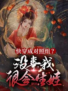 《快穿成对照组?没事,我很会生娃》小说封面