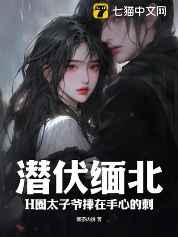 《潜伏缅北:H圈太子爷捧在手心的刺》小说封面
