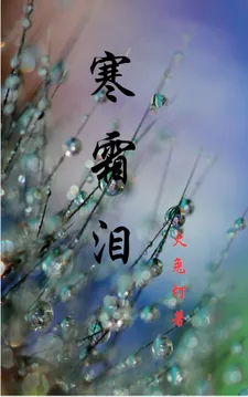 《寒霜泪》小说封面