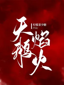 《天鹅焰火》小说封面