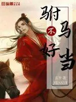 《驸马不好当》小说封面