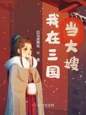 《我在三国当大嫂》小说封面