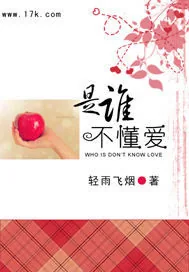 《是谁不懂爱》小说封面