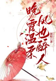 《晚霞温柔风也醉人》小说封面