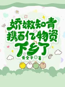 《娇嫩知青携百亿物资下乡了》小说封面