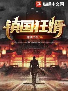 《镇国狂婿》小说封面