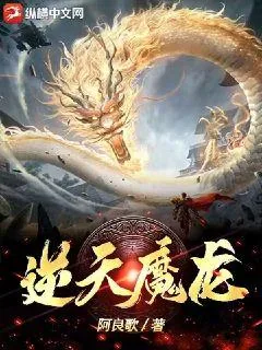 《逆天魔龙》小说封面