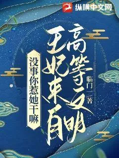 《没事你惹她干嘛，王妃来自高等文明》小说封面