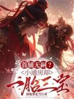 《首辅无嗣？小通房却一胎三宝》小说封面