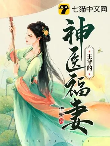 《王爷的神医福妻》小说封面