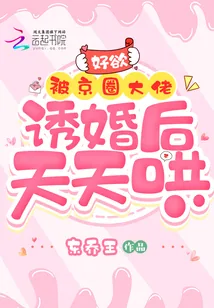 《好欲!被京圈大佬诱婚后天天哄》小说封面