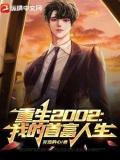 《重生2002：我的首富人生》小说封面