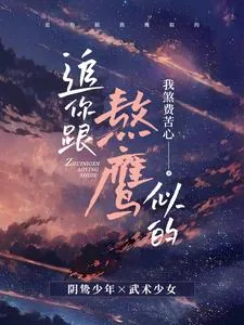 《追你跟熬鹰似的》小说封面