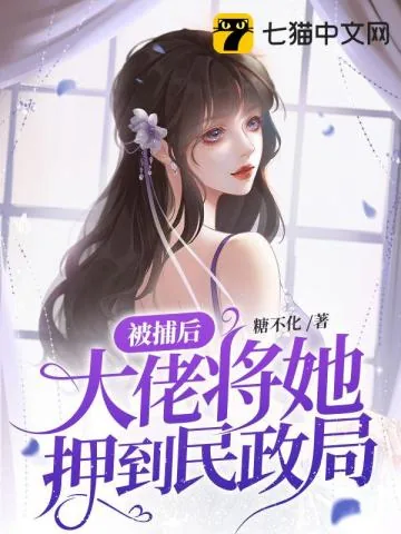 《被捕后，大佬将她押到民政局》小说封面