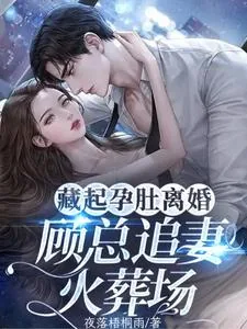 《藏起孕肚离婚,顾总追妻火葬场!》小说封面