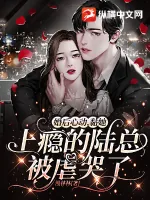 《婚后心动,黏她上瘾的陆总被虐哭了》小说封面