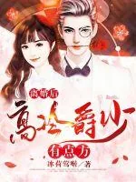 《离婚后高冷爵少有点方》小说封面