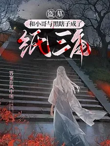 《盗墓:和小哥与黑瞎子成了纸三角》小说封面