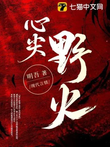 《心尖野火》小说封面