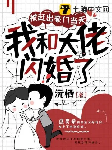 《被赶出豪门当天,我和大佬闪婚了》小说封面
