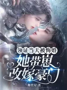 《领证当天被悔婚,她带崽改嫁豪门》小说封面