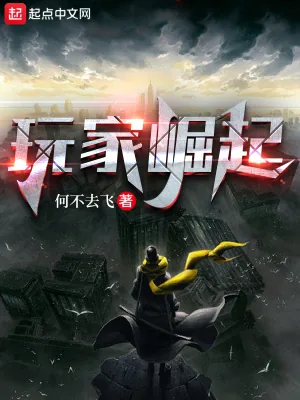《玩家崛起》小说封面