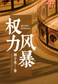 《权力风暴》小说封面
