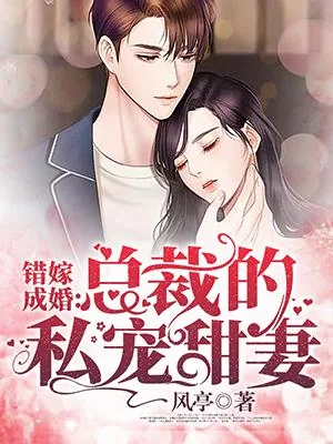 《错嫁成婚:总裁的私宠甜妻》小说封面