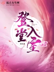 《登堂入室》小说封面