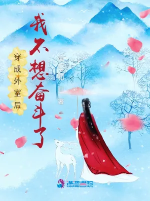 《穿成外室后我不想奋斗了》小说封面