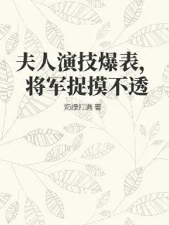 《夫人演技爆表，将军捉摸不透》小说封面