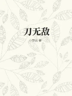 《刀无敌》小说封面