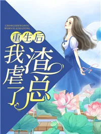 《安澜封煜》小说封面