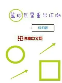 《篮球巨星重出江湖》小说封面