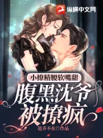 《小撩精腰软嘴甜，腹黑沈爷被撩疯》小说封面