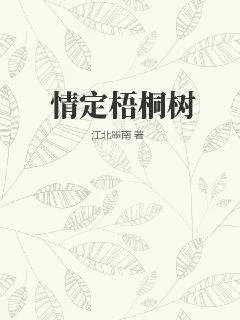 《情定梧桐树》小说封面