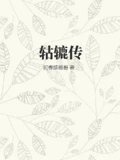 《轱辘传》小说封面
