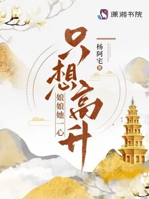 《娘娘她一心只想高升》小说封面