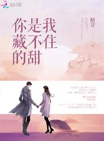 《你是我藏不住的甜》小说封面
