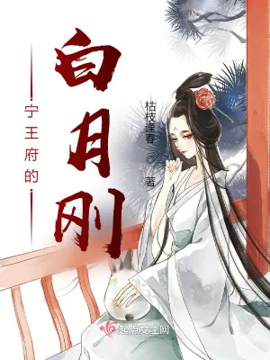 《宁王府的白月刚》小说封面