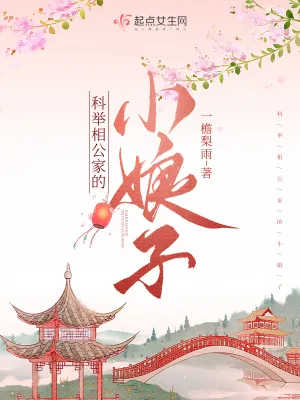 《科举相公家的小娘子》小说封面