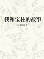 《我和宝柱的故事》小说封面