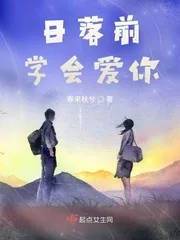 《日落前学会爱你》小说封面