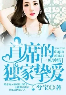 《一见钟情:首席的独家挚爱》小说封面