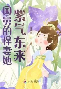 《国舅的悍妻她紫气东来》小说封面