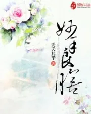 《妙手良膳》小说封面
