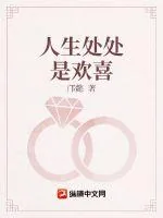 《人生处处是欢喜》小说封面