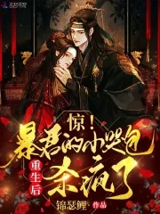 《惊！暴君的小哭包重生后杀疯了》小说封面